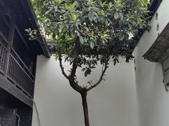 -南京市民俗博物馆(甘熙故居)