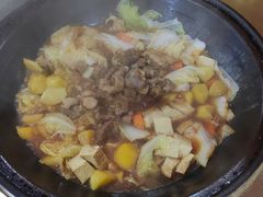-粘豆包柴火铁锅炖