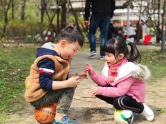 -吴淞炮台湾湿地森林公园烧烤区
