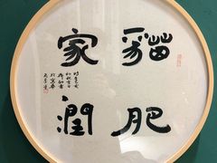-飞行喵MR PILOT|猫舍·猫咖(静安大融城店)