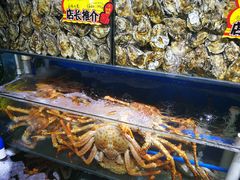 阿拉斯加长脚蟹-蚝专家(北滘店)