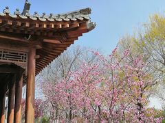 -水西公园