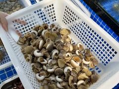 -碧海银沙海鲜餐厅(恒大海上威尼斯店)