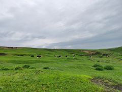 -莫日格勒旅游景区
