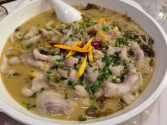 吉品水煮鱼-吉品系中餐厅(歌斐中心店)