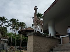 -清迈夜间动物园