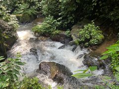 -莫里热带雨林景区
