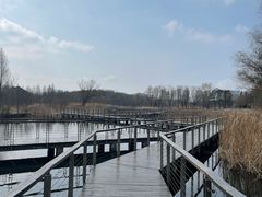 -昆山城市生态森林公园