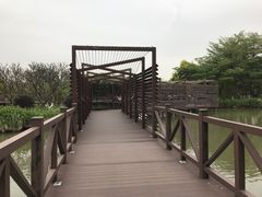 -海珠湖公园