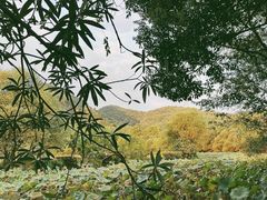 -八卦田遗址公园