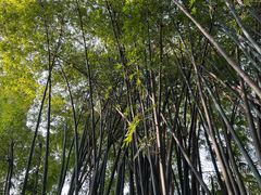 -成都杜甫草堂博物馆
