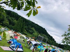 -武陵山森林公园