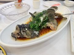 -金华安大酒楼·老牌潮菜·粤式茶点(东方国际店)