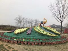 -西海岸生态观光园