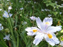 -西湖风景区-江洋畈生态公园