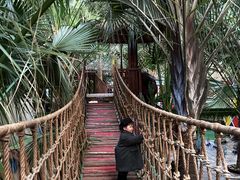 -呀路古热带植物园