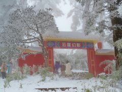 -瓦屋山景区