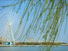 -无锡蠡湖国家湿地公园-蠡园