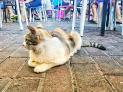 -玉园烧烤·海鲜辣炒