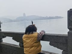 -杭州西湖柳莺里酒店