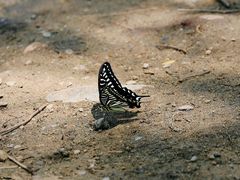-碓臼峪自然风景区
