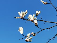 -广富林郊野公园