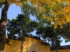 -灵岩山风景区