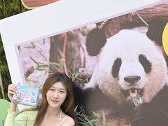 -灵玲国际马戏城