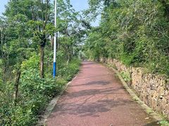 -桃花岭景区