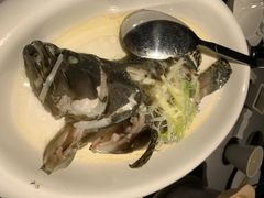 清蒸老虎斑-徐记海鲜(汉城湖|太奥店)