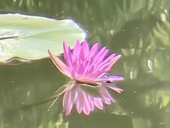 -红山村