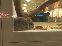 -龙猫仔乐园(惠福东路店)