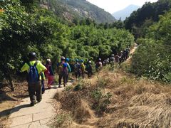 -大罗山风景区
