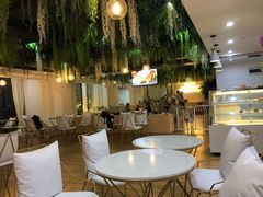 -Husky Go! 哈士奇体验馆·宠物咖啡厅狗咖