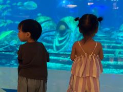 -亚特兰蒂斯•OSSIANO奥西亚诺海底餐厅