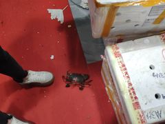 -凤凰路何眼镜香辣蟹(花果园店)