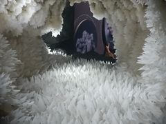 -湖南省地质博物馆