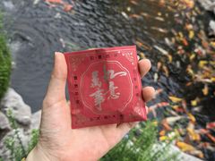 -下海庙