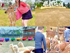 -盈香心动乐园