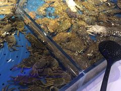 -澜悦港海鲜体验主题餐厅