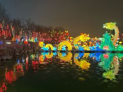 -淄博花灯齐彩城