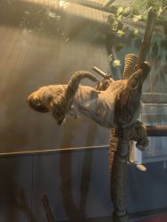 -未来动物城主题公园(正弘城店)