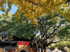 -宝岩生态观光园