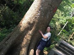 -峨眉山报国寺