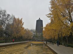 -玲珑塔公园