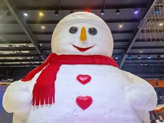 -宁波冰雪大世界(北仑区)