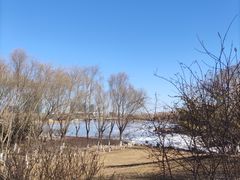 -大兴滨河森林公园