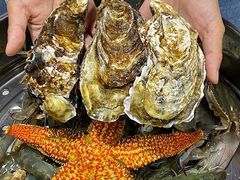 -富临港·蒸汽海鲜·手抓海鲜·炒菜(栈桥店)