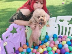 -汪说喵讲宠物乐园宠物酒店(红星美凯龙店)