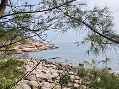 -广东惠东海龟国家级自然保护区